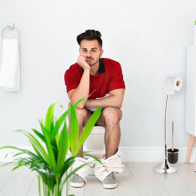 Toilettenbürsten WC-BÜRSTE Edelstahl glanz