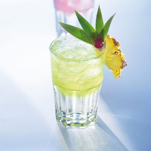 6er-Set Trinkgläser Glas TRINKGLAS Longdrinkglas Arcoroc GRANITY 6×35cl