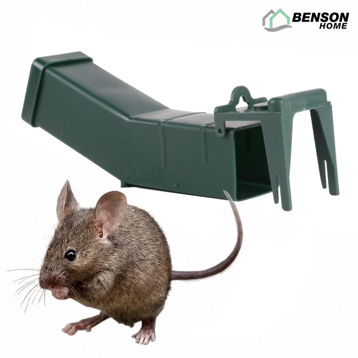 Benson tierfreundliche Mäuse-Lebendfalle aus Kunststoff, Grün
