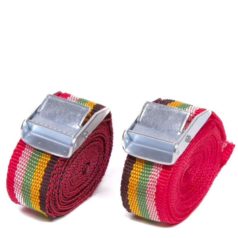 Gepäckgurt SPANNGURT Zurrgurt 2,5m 2er Set